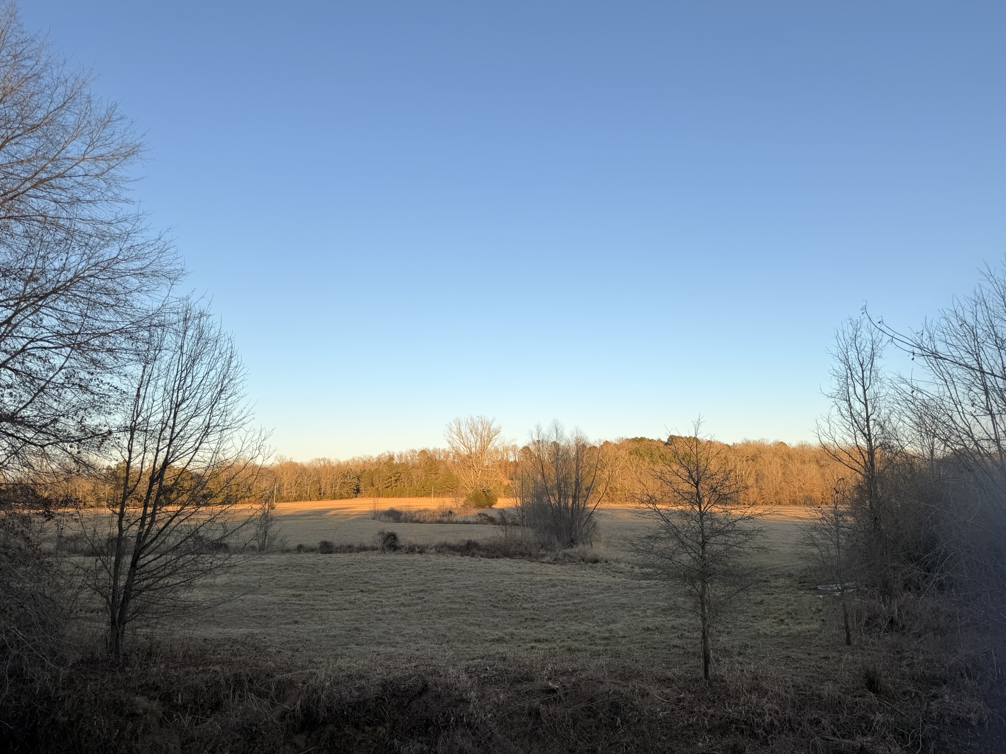 Southern Delight outdoor deck overlooking Saline Creek with fire pit area