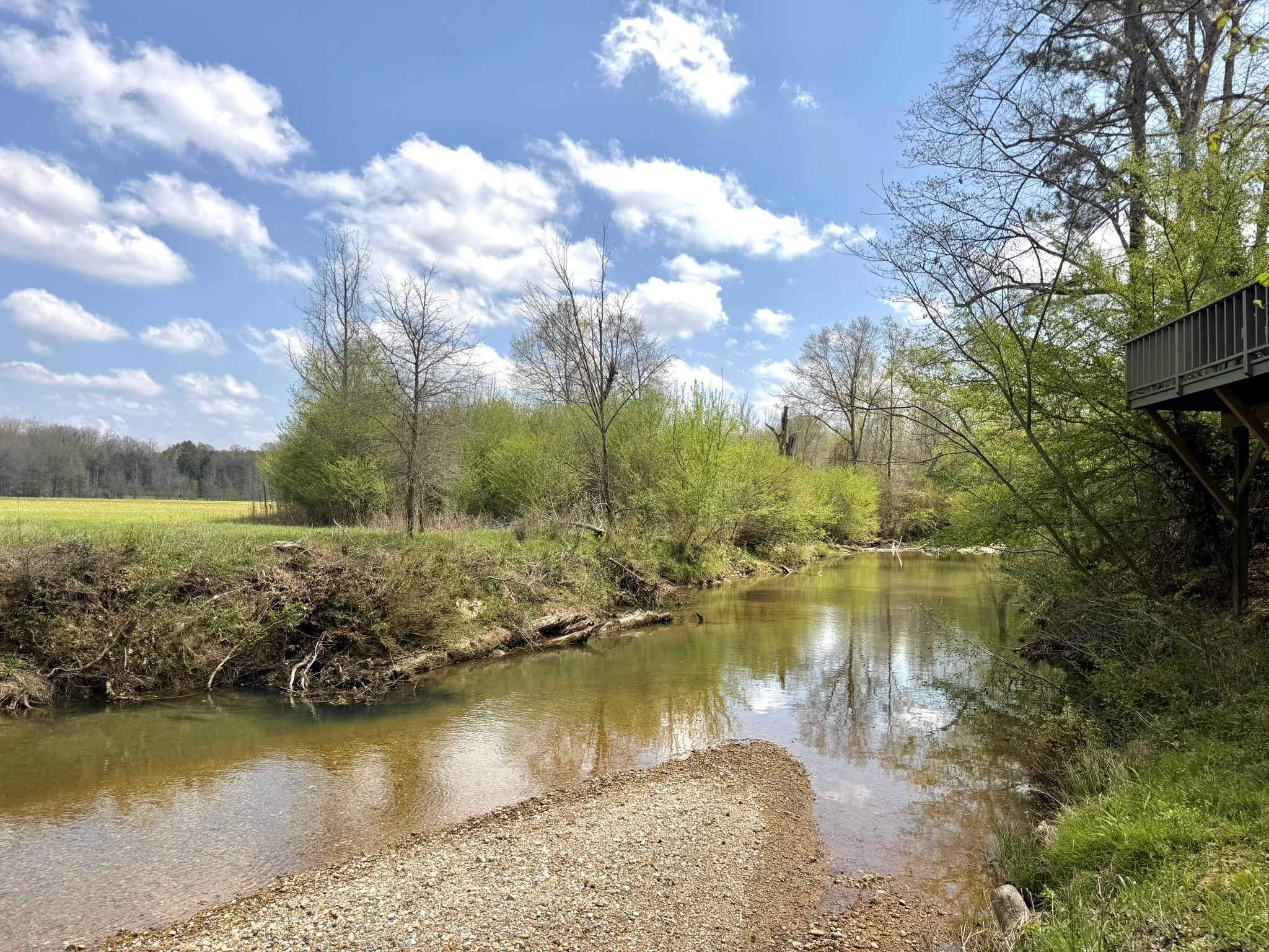 Saline Creek with sandy bank and deck overhead surrounded by spring greenery