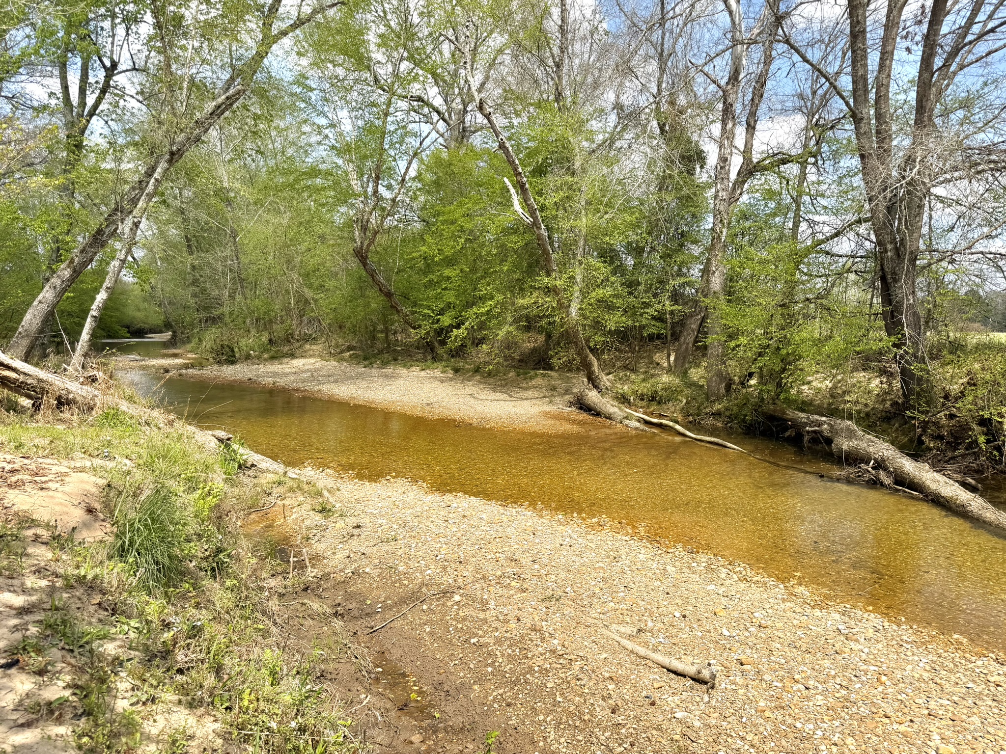 Saline Creek shallow water with gravel bed winding through wooded Arkansas landscape